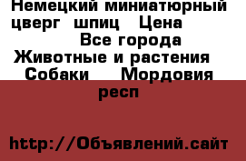 Немецкий миниатюрный(цверг) шпиц › Цена ­ 50 000 - Все города Животные и растения » Собаки   . Мордовия респ.